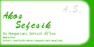 akos sefcsik business card